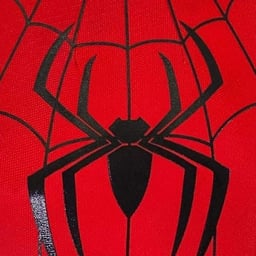 Homem-Aranha (Wirley Contaifer) 