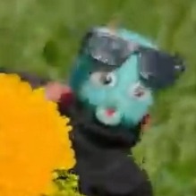 Voz Alegre y Enérgica