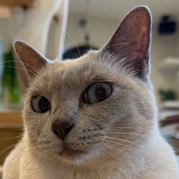 Hnoodh368 😂😂😂