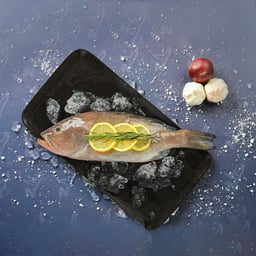 صوت عربي حيوي ومرح