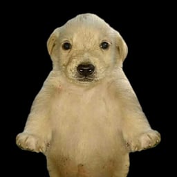 Que si pones una canción en Egipto?