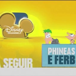 Disney Channel Brazil Announcer (2013 Era)