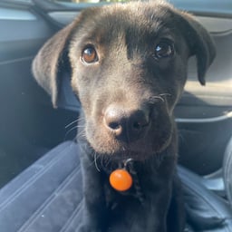 刘老师（志华）