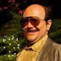 Torrente el brazo tonto de la ley