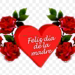 Voz Pedro olguin mujer