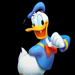 Donald Duck (Mickey Mouse Preschool)