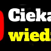 Polski Głos Informacyjny