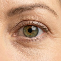 Clear Professional Male