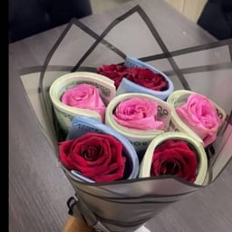 Friendly Conversationalist