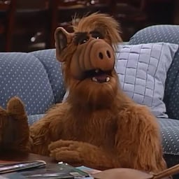 Alf