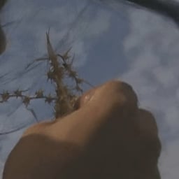 乔致庸（咆哮版）