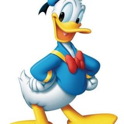 pato Donald 