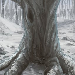 Voix Conteuse Claire