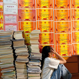 李玫瑾（柔和）