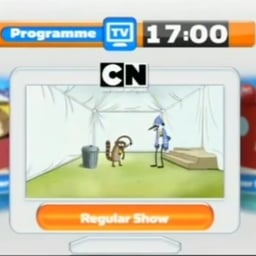 Program tv