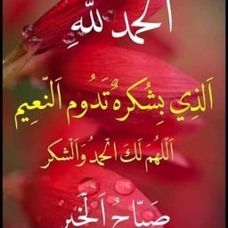 ابراهيم خلو