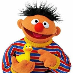 [Sesame Street] Ernie (Jim Henson)