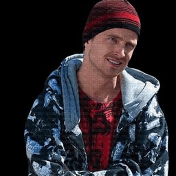 Jesse pinkman