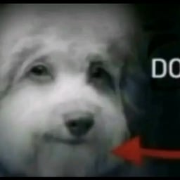 Deep Character Voice