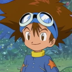 数码宝贝 八神太一