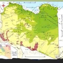 مذيع قناة الجديد 