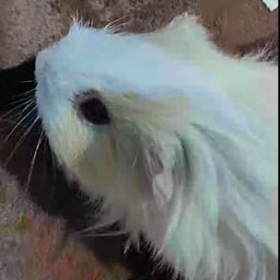 Молодой Рассказчик