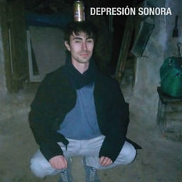 Depresión sonora (ya no hay verano(