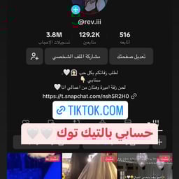 الفنانه ريم