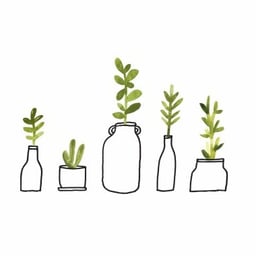 インスタリール用