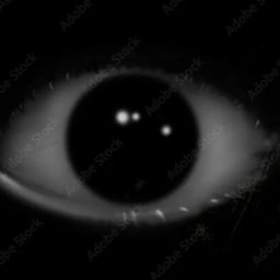 Спокойный Молодой Мужской