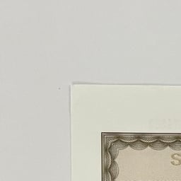 Enthusiastic Conversationalist