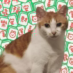 20250109_救火快讯Ai配音！！！