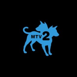 mtv2 announcer pt2