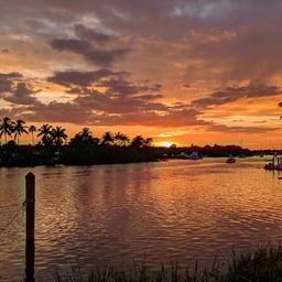 Voz Logística Profesional
