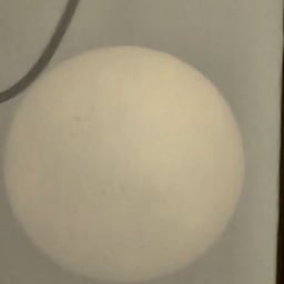 Voz Cantante Festiva