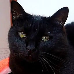 Actor Dramático Español