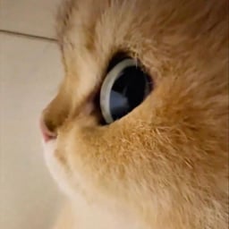 Narradora Dramática Española