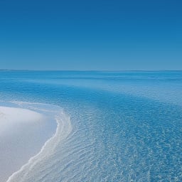 Voz Explicativa Clara