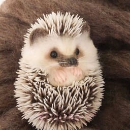 Весёлый Барби-бой