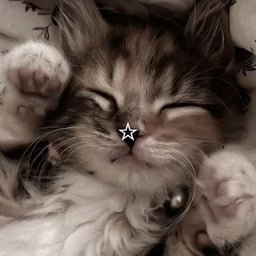 Youthful Clear Voice