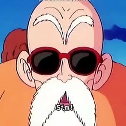 Tartaruga genial pt pt