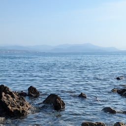 Voix Dramatique Française