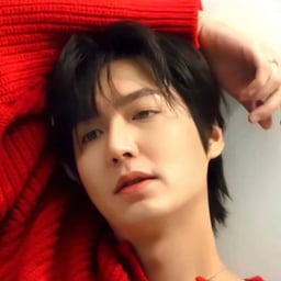 Lee Minho 
