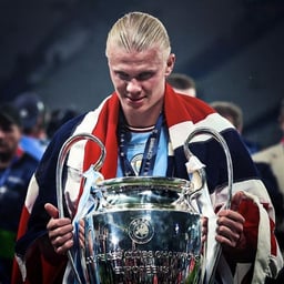 سلاحف النينجا