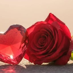 Clear Social Speaker