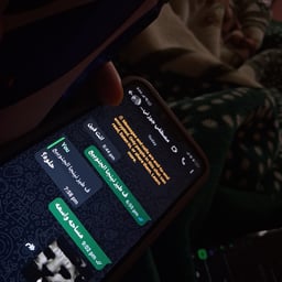 مهاب سلامه جيد