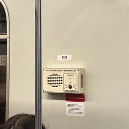 Юлия кутьина 