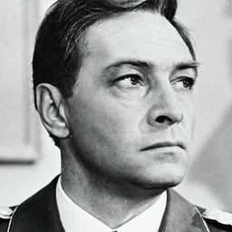 Штирлиц-досье