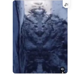 Voix Féminine Expressive