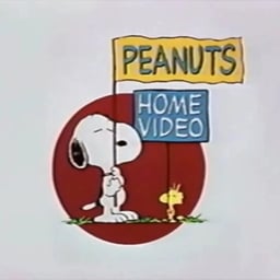 Brian Cummings (Peanuts Home Video)
